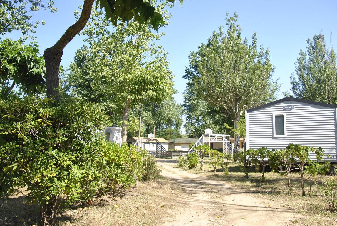 Camping La Dune Vias Esterno foto