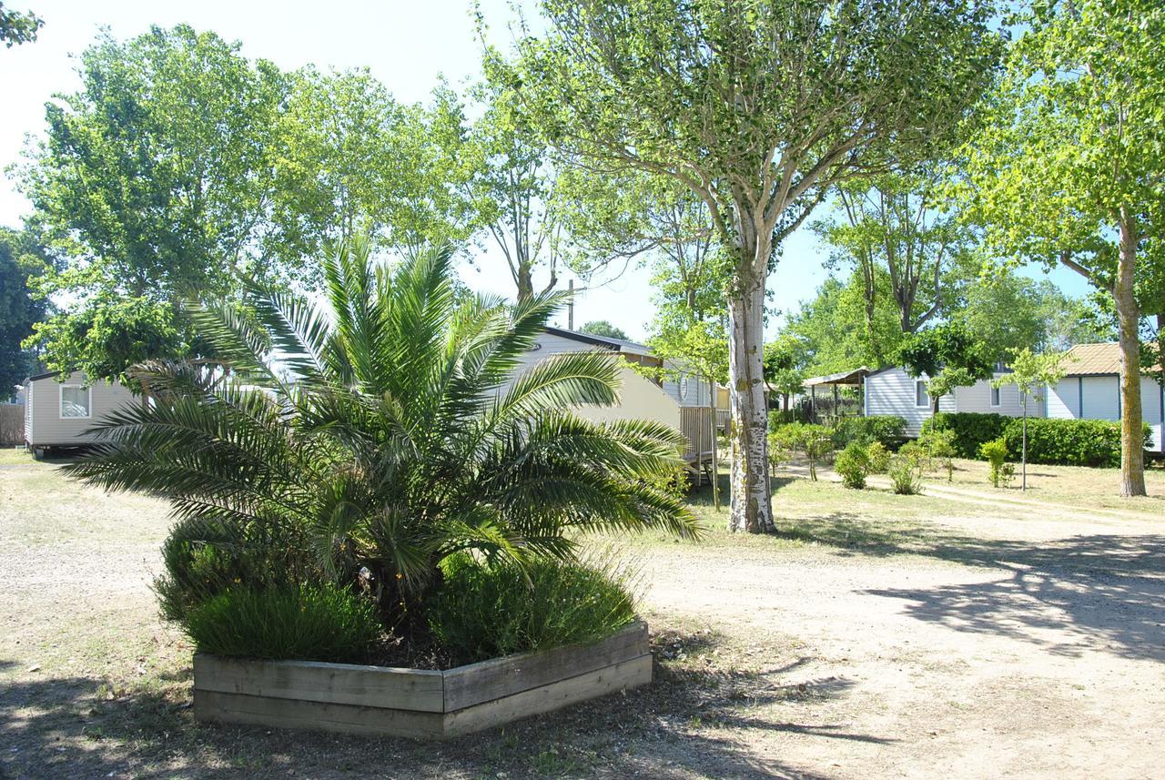 Camping La Dune Vias Esterno foto